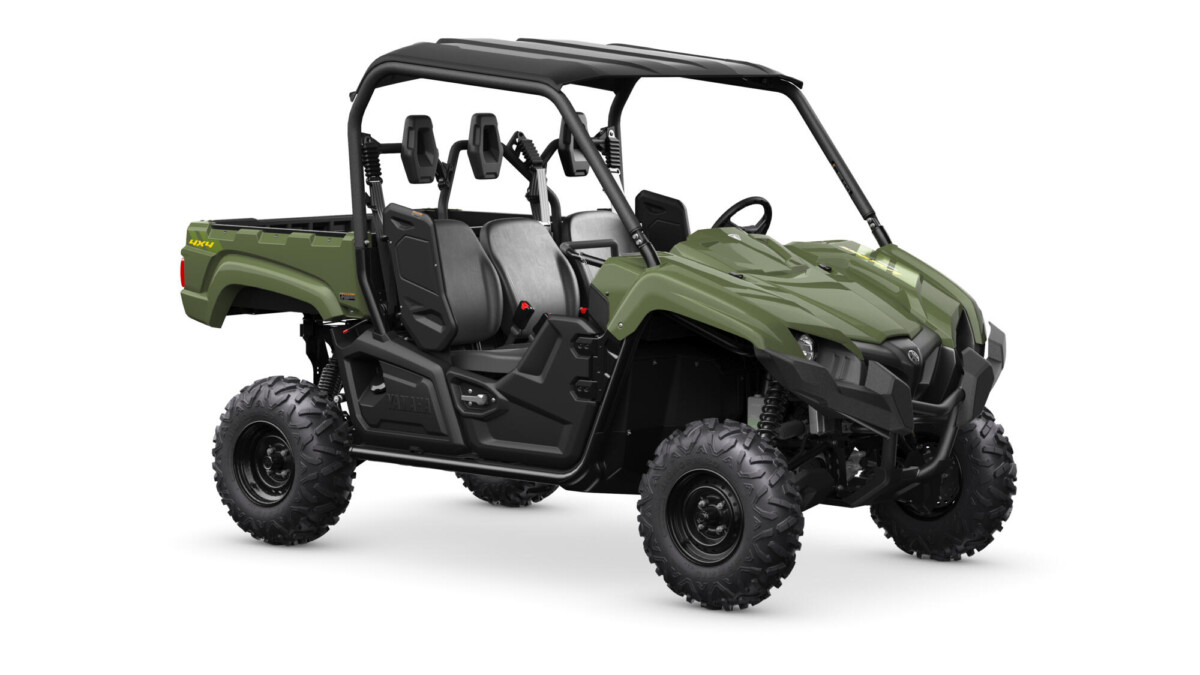 Gator